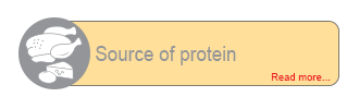 Protein B
