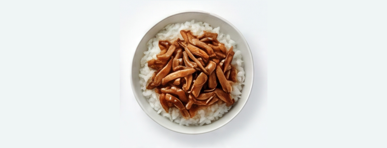Teriyaki Pulled Chicken Rice