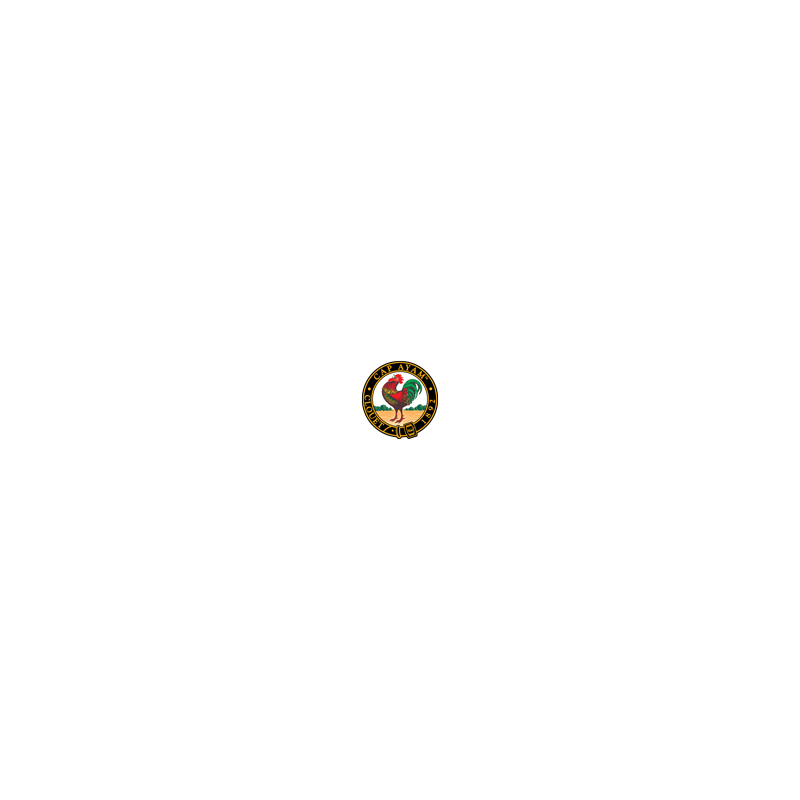logo-ayam